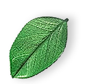 https://halimiyika.com/oaltoaft/2025/07/floating_leaf_01.png